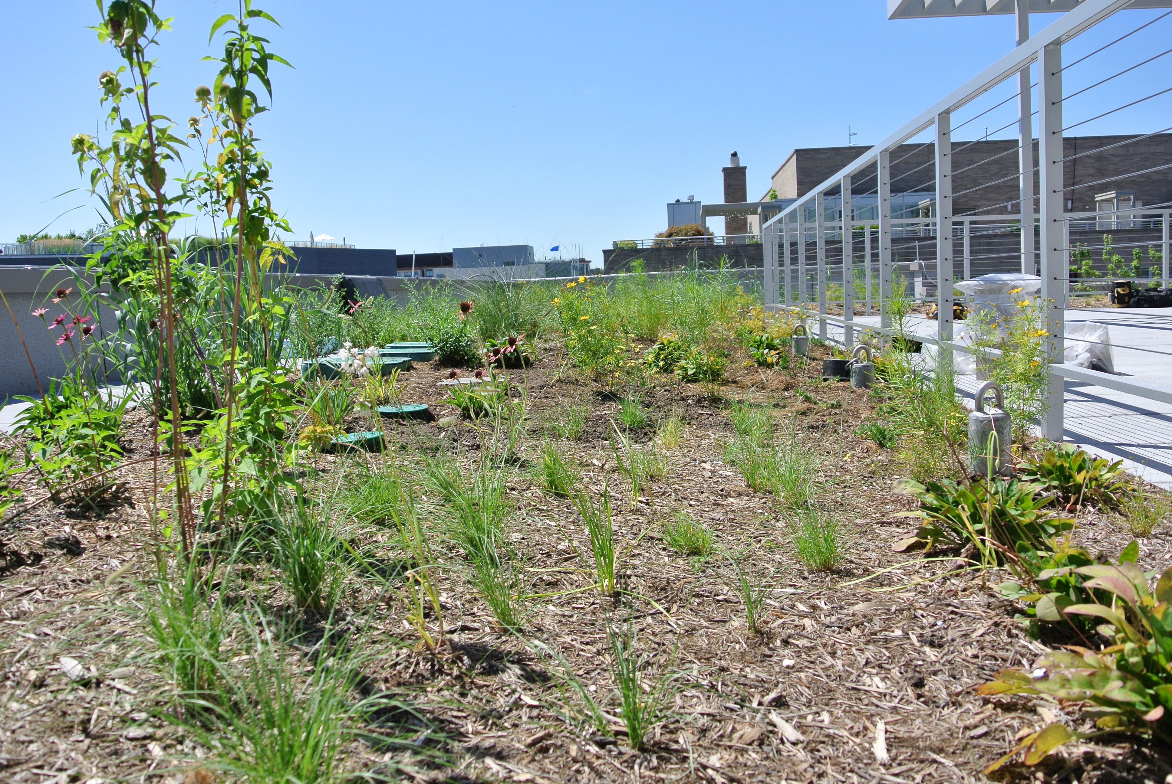 American Hydrotech Inc Green Roofs Garden Roofs