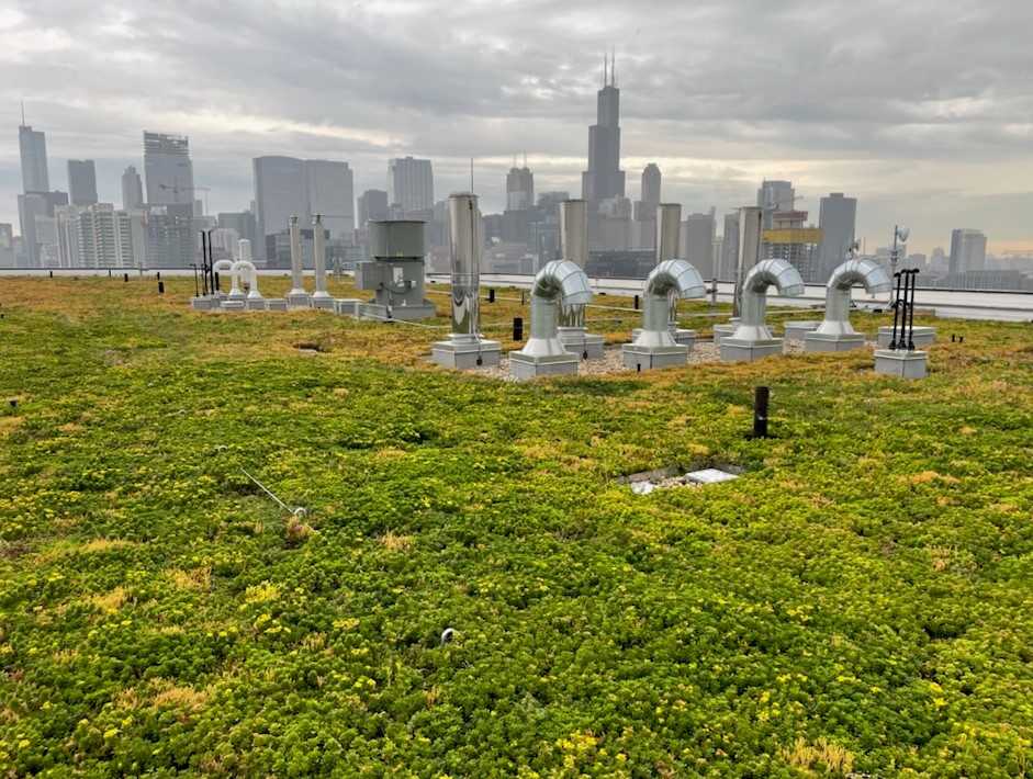 400 North Aberdeen Office Green Roof with Skyline view of Chicago