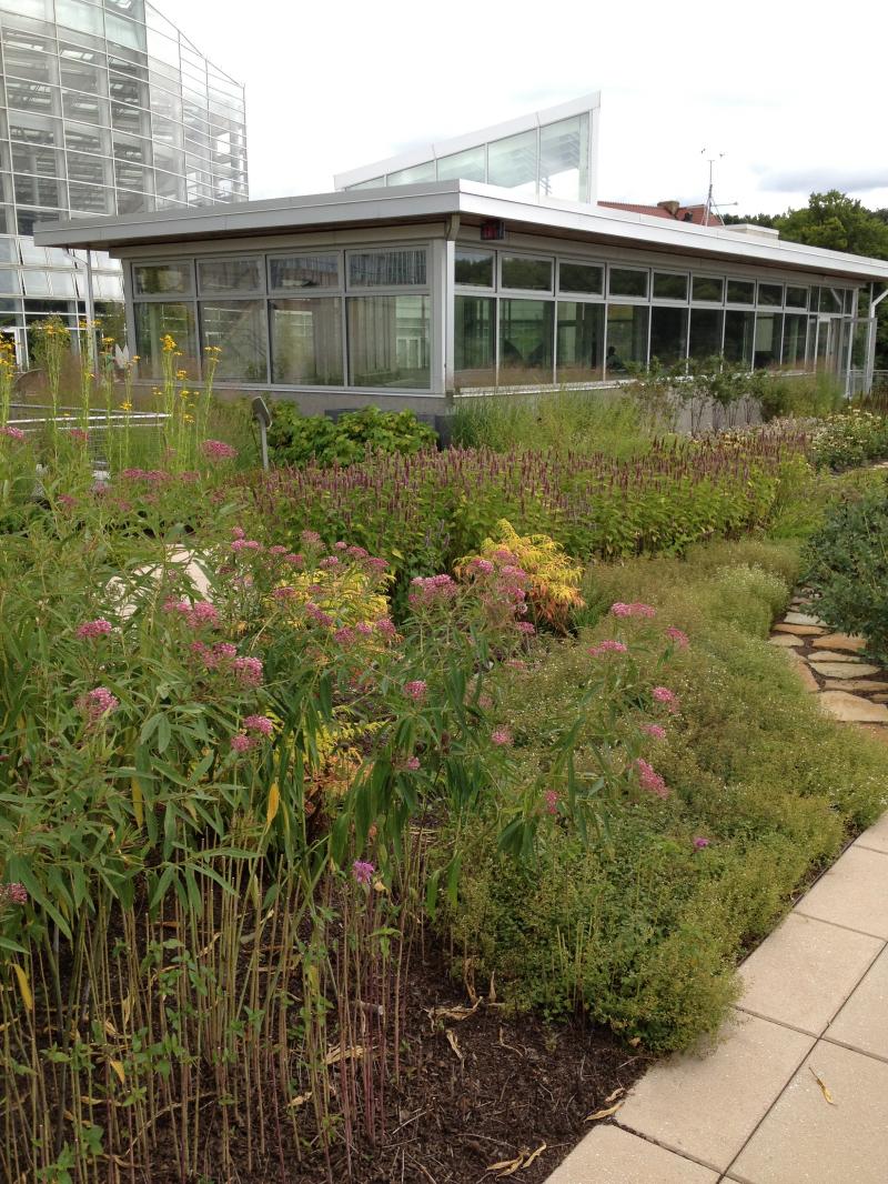 Phipps Conservatory & Botanical Garden Welcome Center