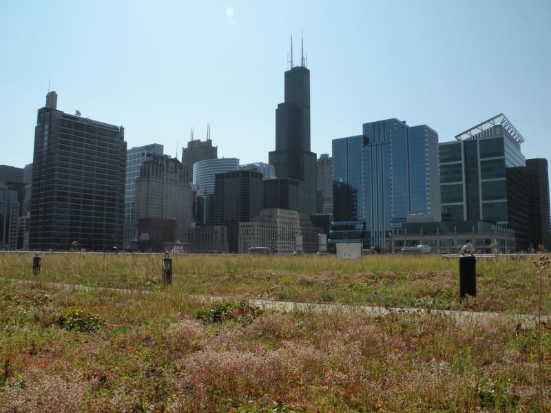 Chicago Transit Authority Headquarters