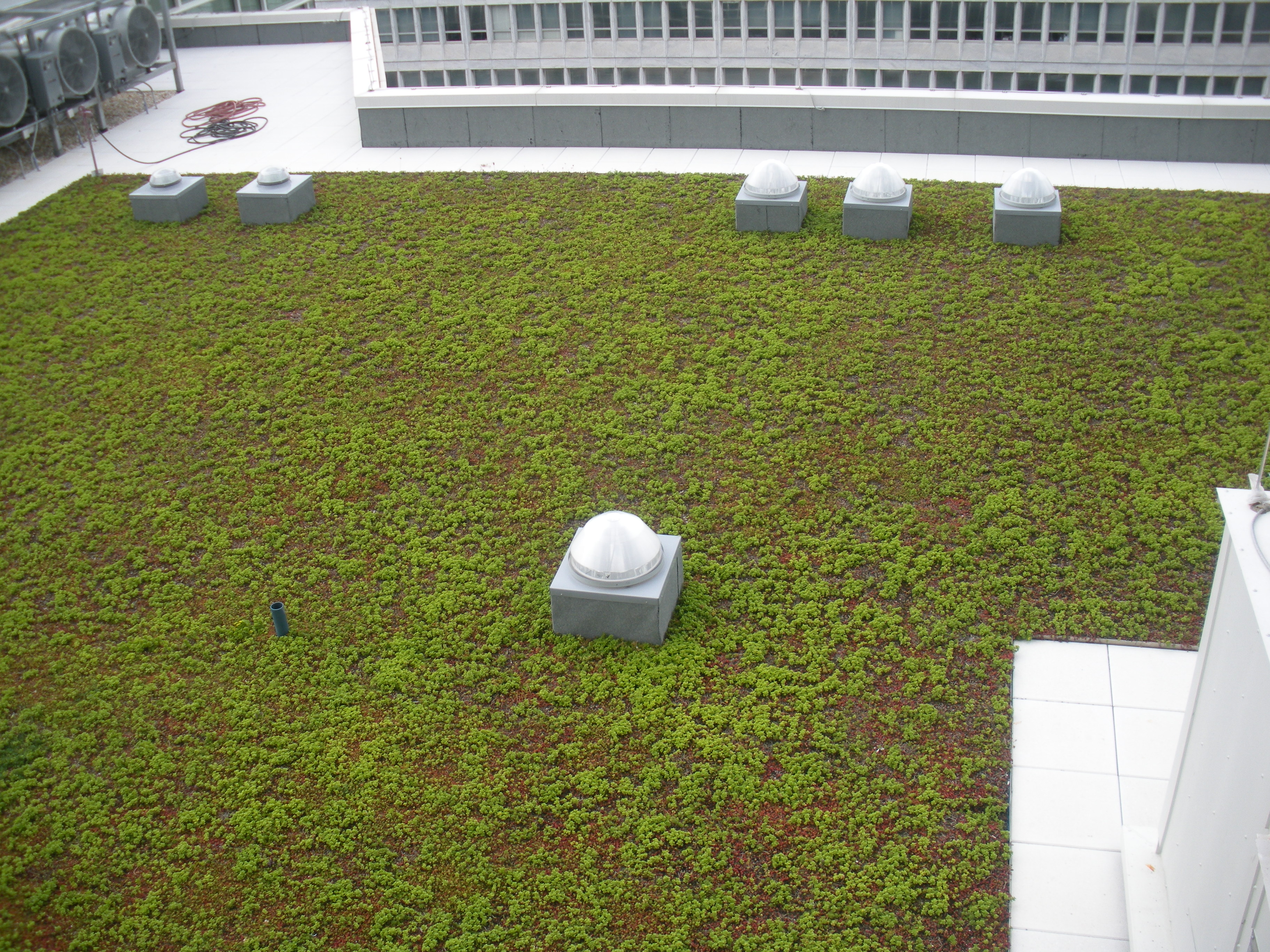 American Hydrotech Inc Green Roofs Garden Roofs Monolithic