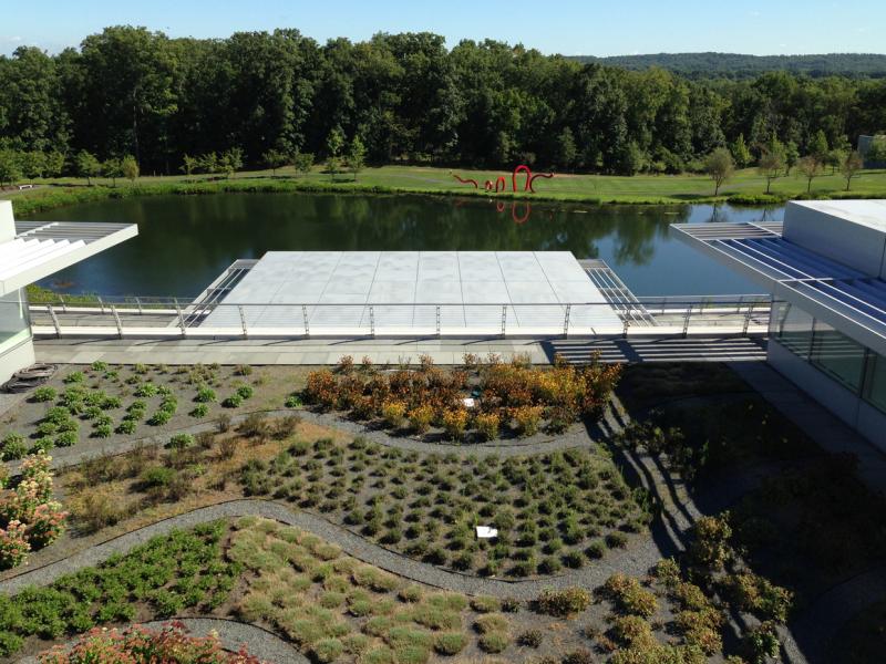 Howard Hughes Medical Institute Janelia Farm