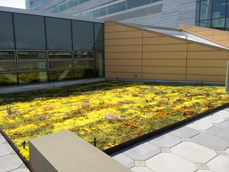 Oregon Health & Science University - Collaborative Life Sciences Building