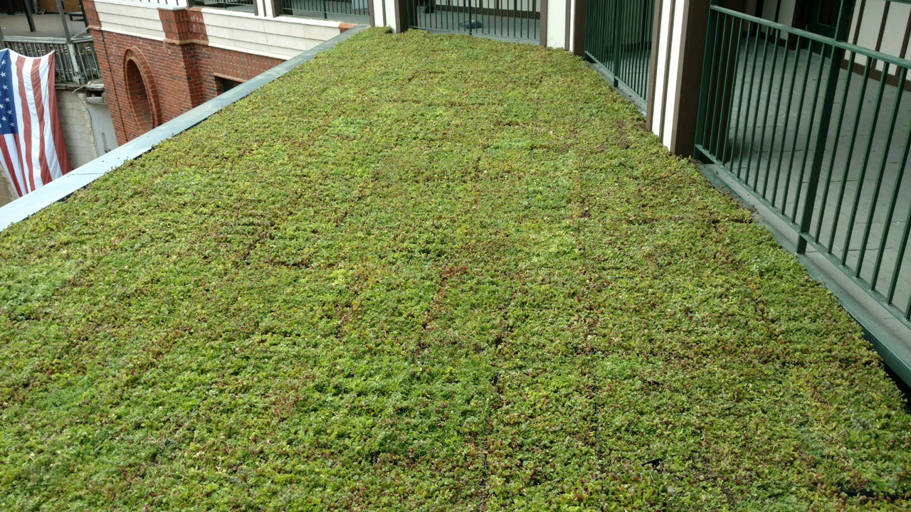 American Hydrotech Inc Green Roofs Garden Roofs
