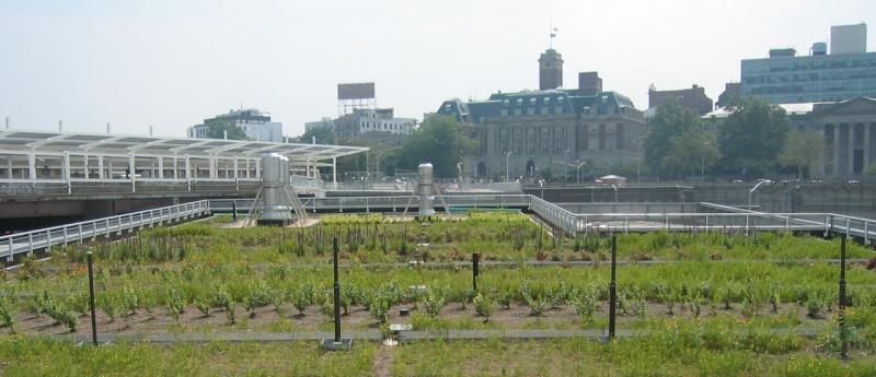 St. George Ferry Terminal