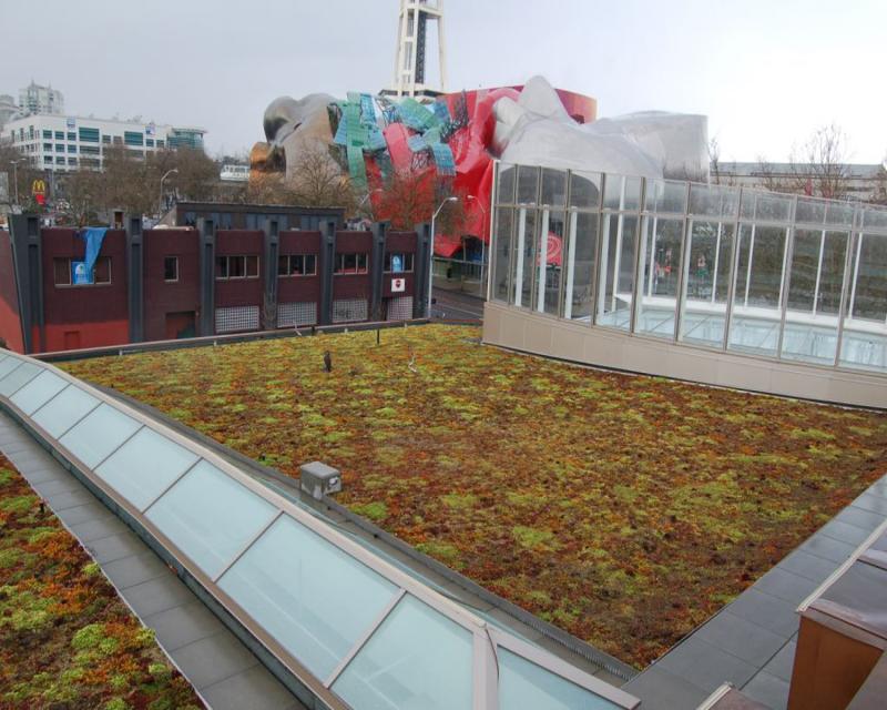 Gates Foundation Campus