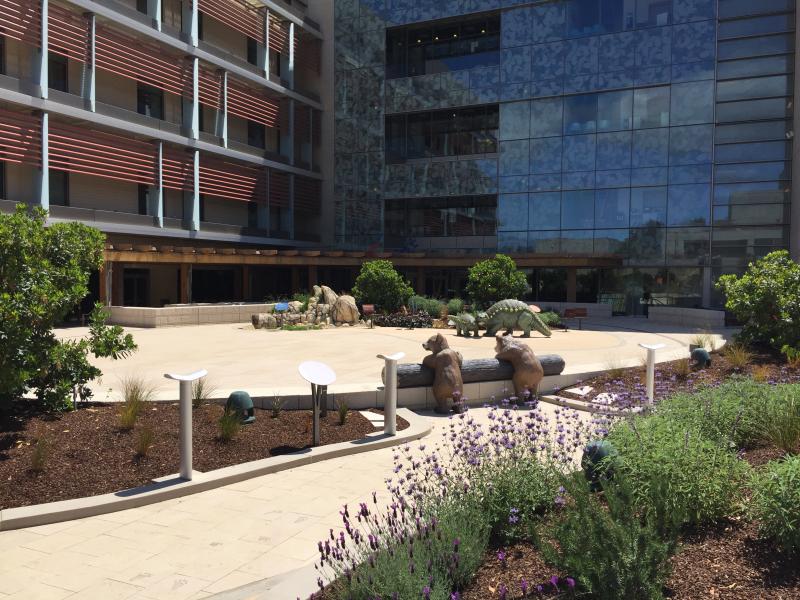 Lucile Packard Children's Hospital - Discovery Garden