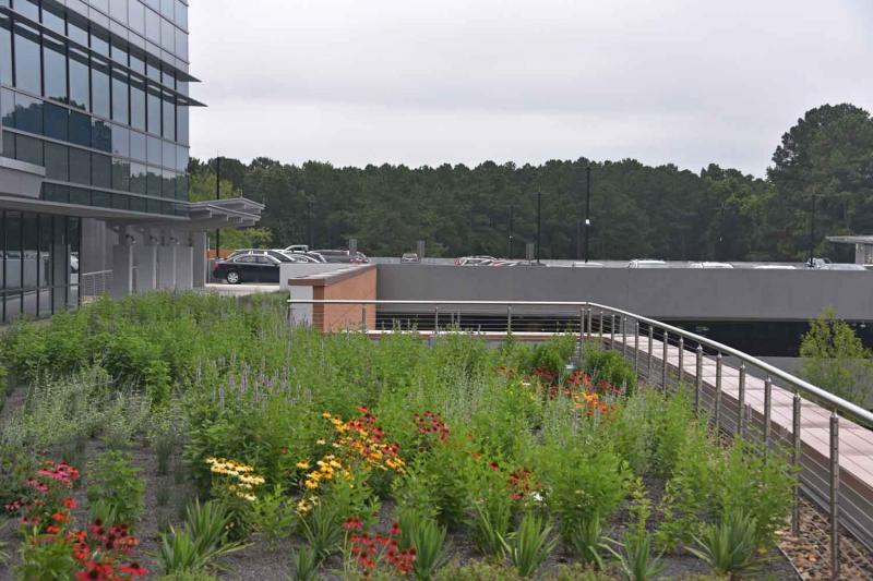 RTI Project Horizon —Living Roofs, Inc. 