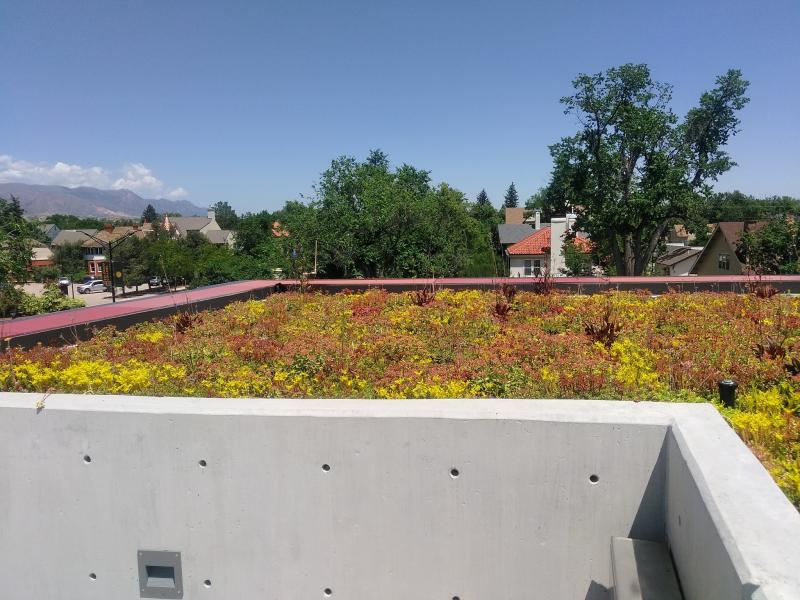 Colorado College Tutt Library