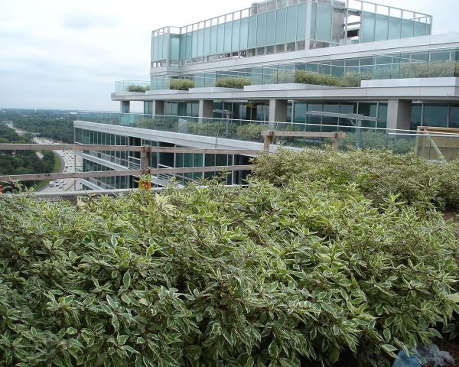 American Hydrotech Inc Green Roofs Garden Roofs