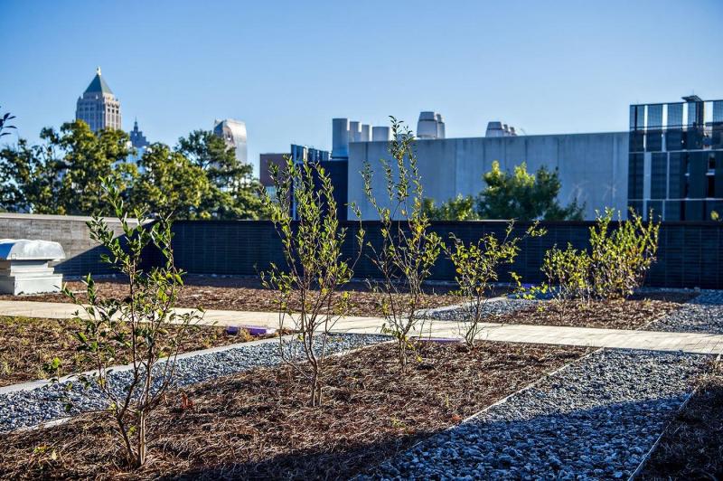 Kendeda Building at Georgia Tech University 