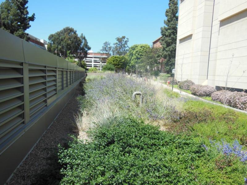 UCLA - Court of Sciences Building