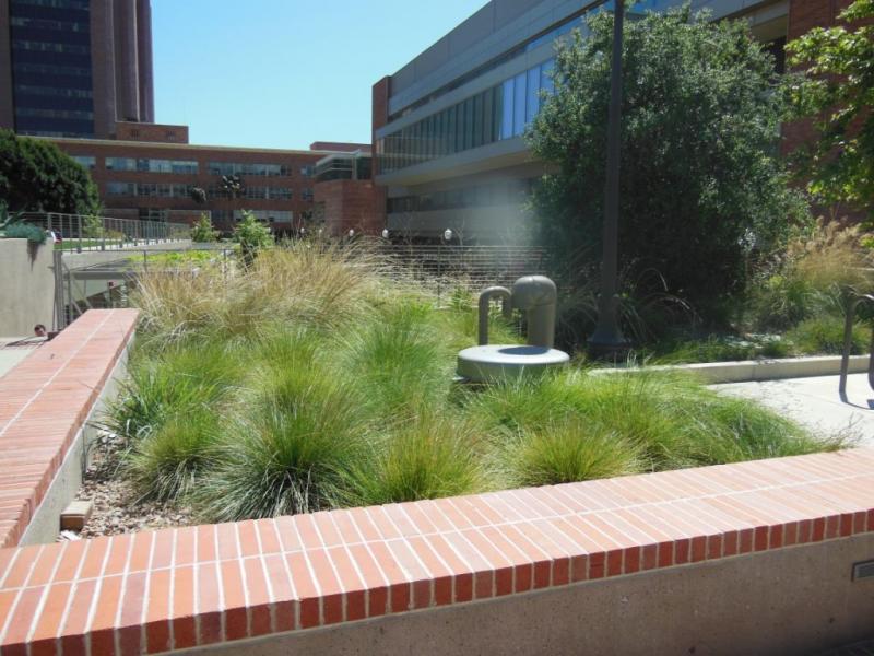 UCLA - Court of Sciences Building