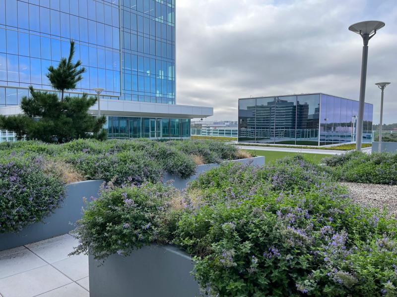 Reston Gateway Tower A & B