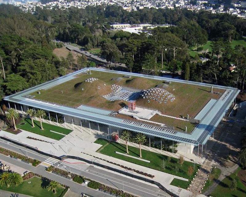 California Academy of Sciences