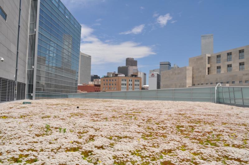 Denver Justice Center