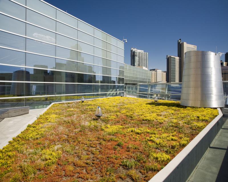 Denver Justice Center