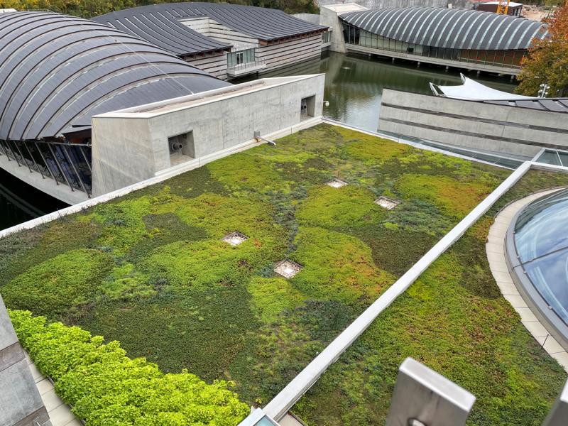 Crystal Bridges Museum 
