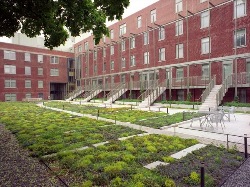 Harvard University - 29 Garden Street