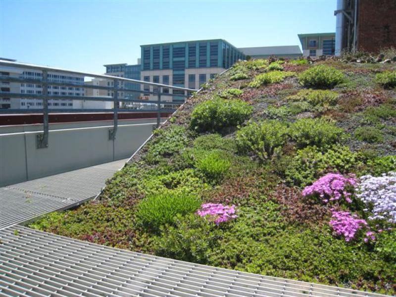 American Society of Landscape Architects Headquarters