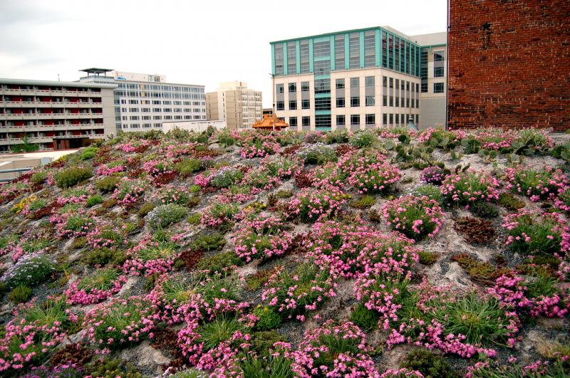 American Society of Landscape Architects Headquarters