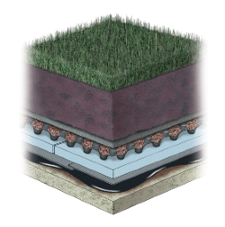 Lawn Vegetated Roof