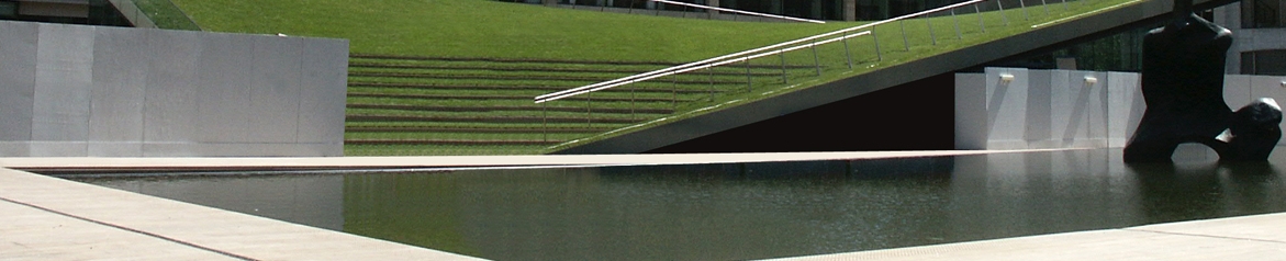 Emseal RoofJoint