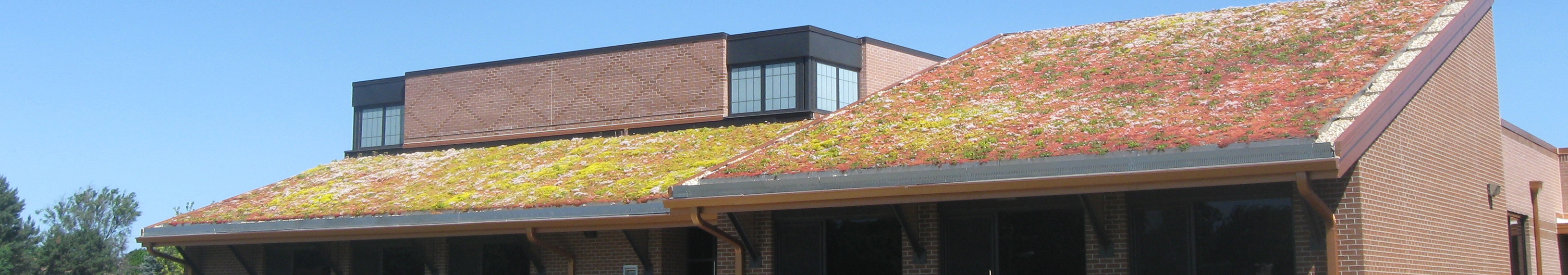 sloped garden roof