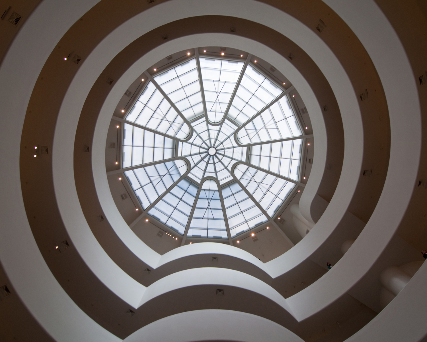 project guggenheim All images courtesy of solomon r guggenheim museum, new york google art project: guggenheim: installation view: storylines:. project guggenheim All images courtesy of solomon r guggenheim museum, new york google art project: guggenheim: installation view: storylines:.