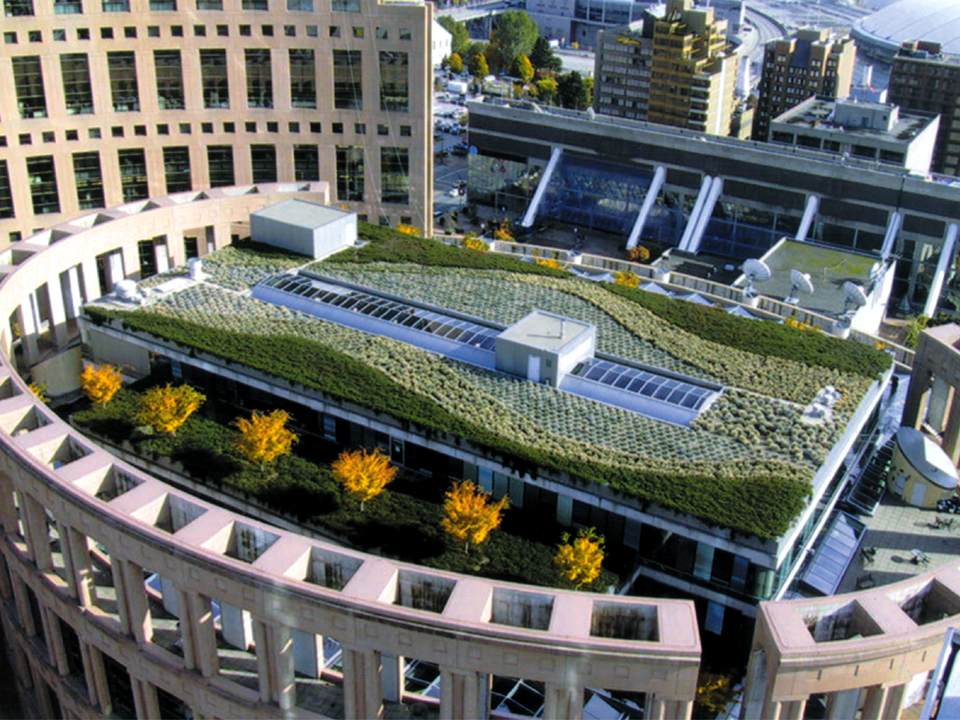 garden roof