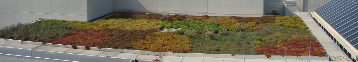 Garden Roof Plus