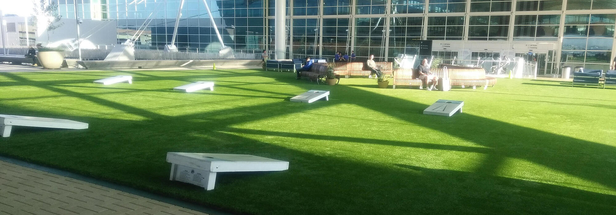 Artificial Turf
