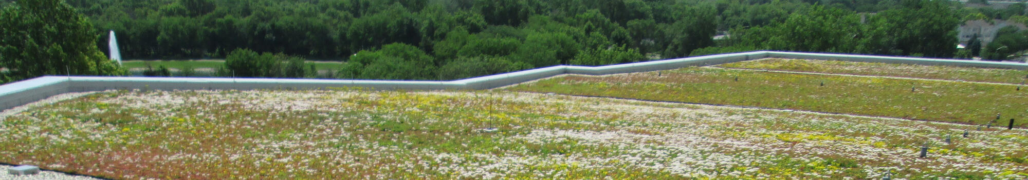 garden roof