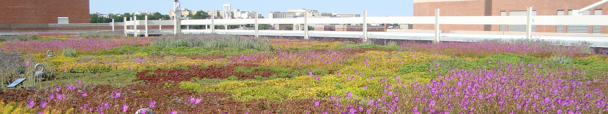 Garden Roof® Assemblies