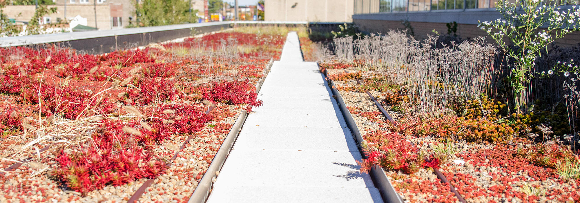Waterproofing FAQ