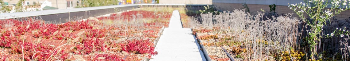 Garden Roof Assembly FAQ