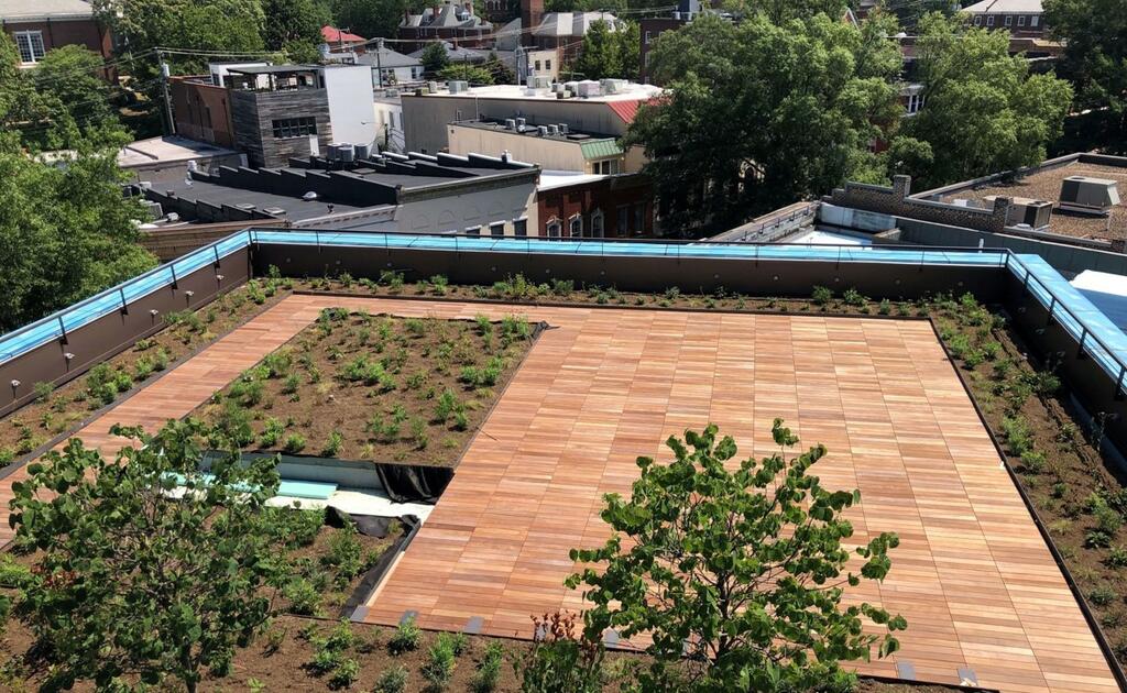 Vegetated Roof and Wood Tile deck amenity space on The CODE Building (Center of Developing Entrepreneurs) 