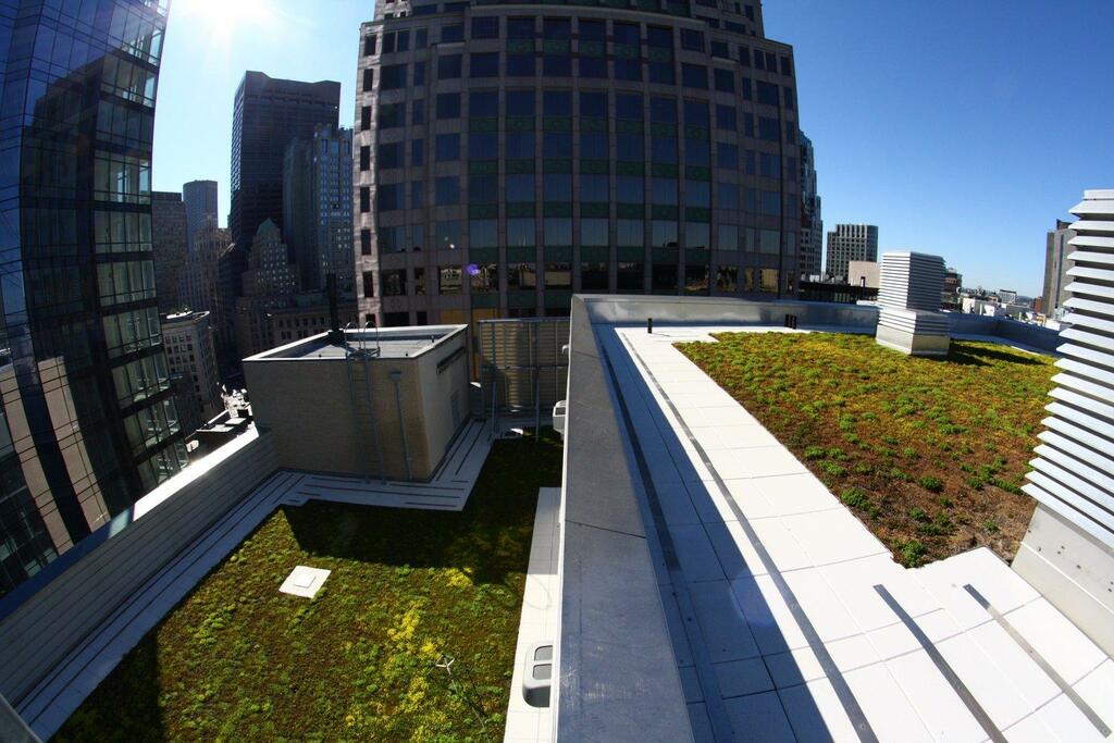 Green roof restoration project atop the Millennium Tower Burnham Building