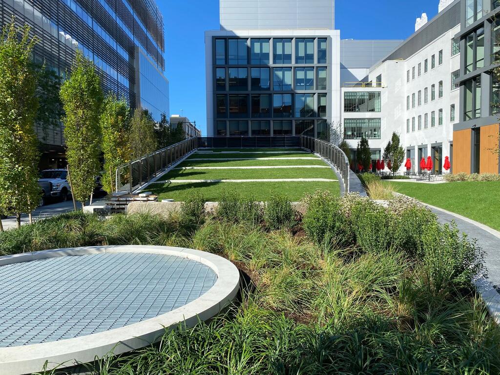 730-750 Main Street - MIT Sloped Lawn Green Roof