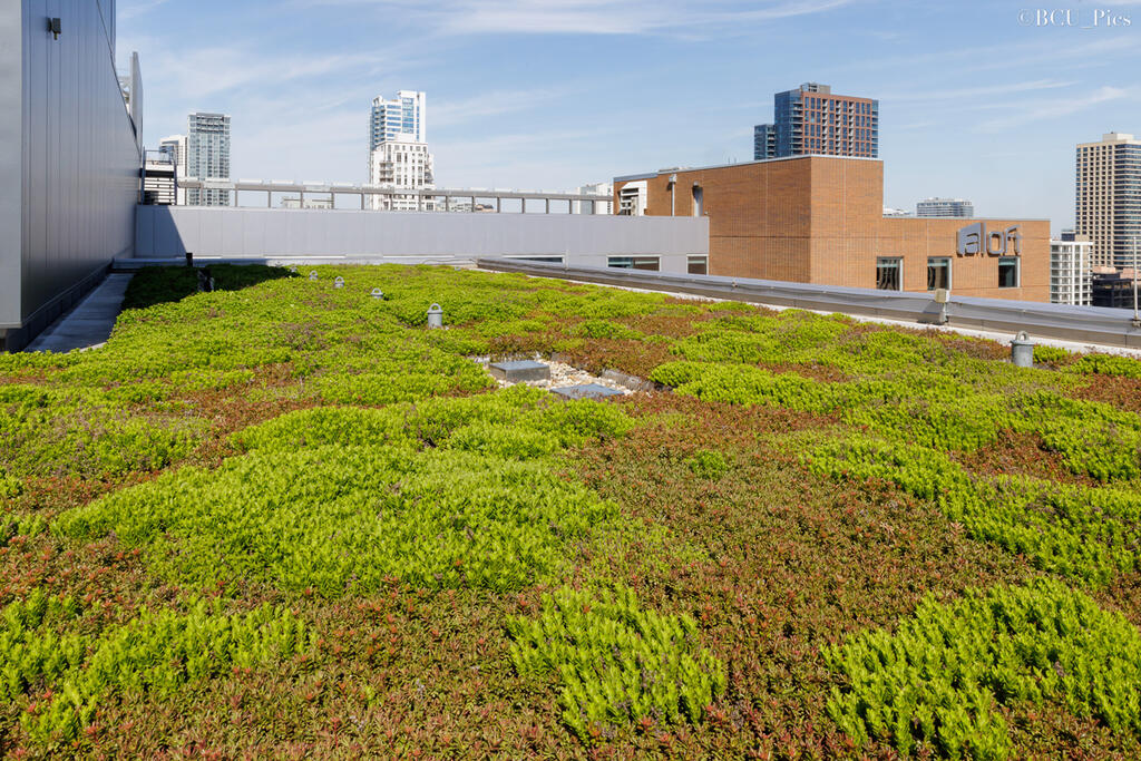 green roof space on Clark and Grand Hotel building