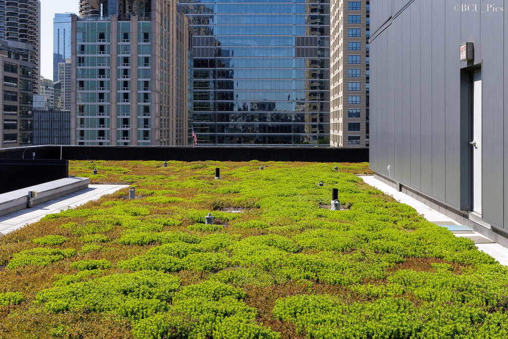 green roof space on Clark and Grand Hotel building