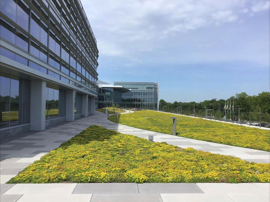 LG Electronics North American Headquarters Green Roof, rooftop garden