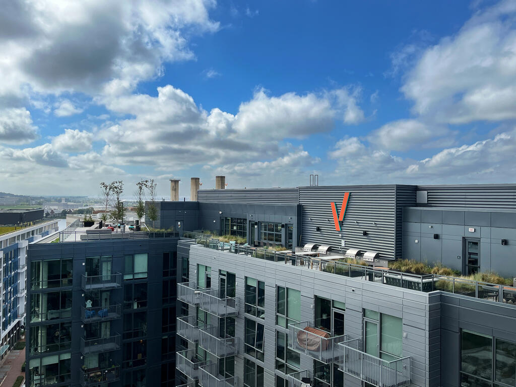 vegetated roof, green roof, amenity deck