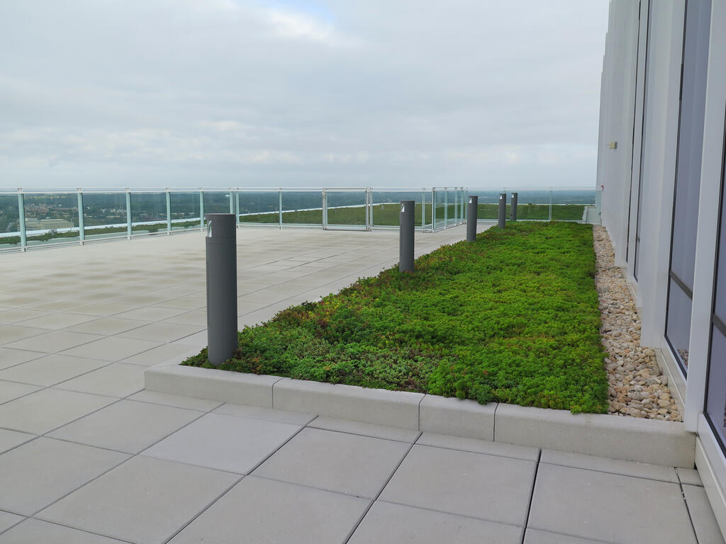 vegetated roof, green roof, amenity deck