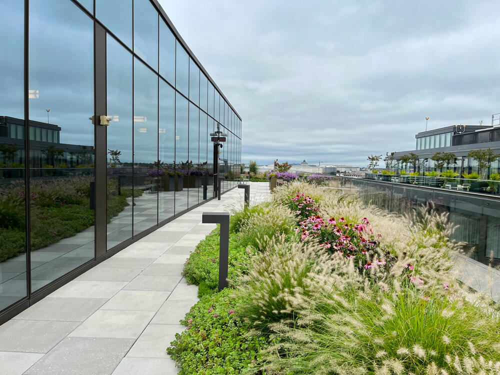 vegetated roof, green roof, amenity deck