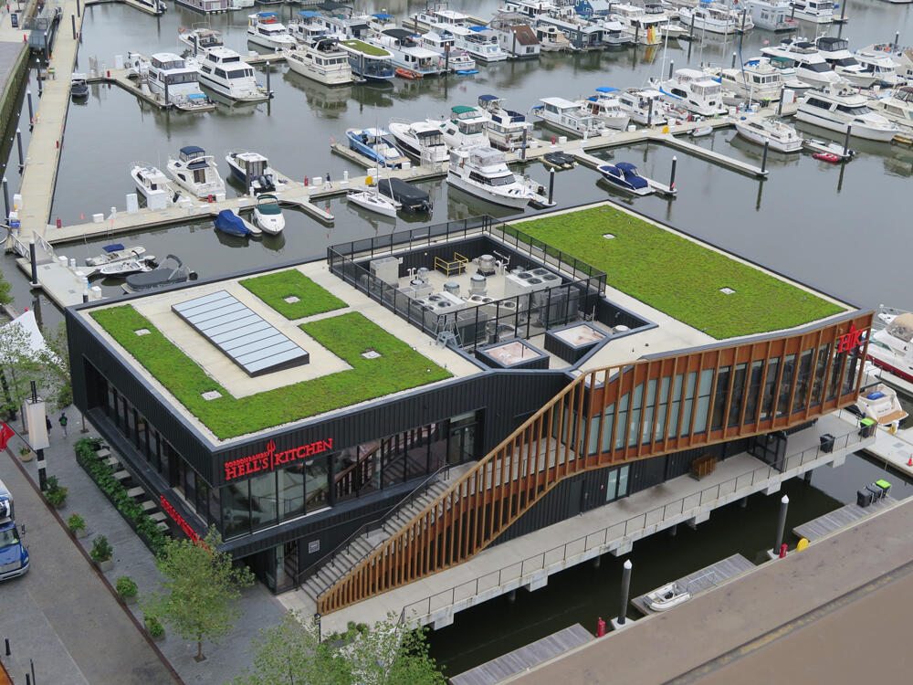 vegetated roof, green roof, amenity deck