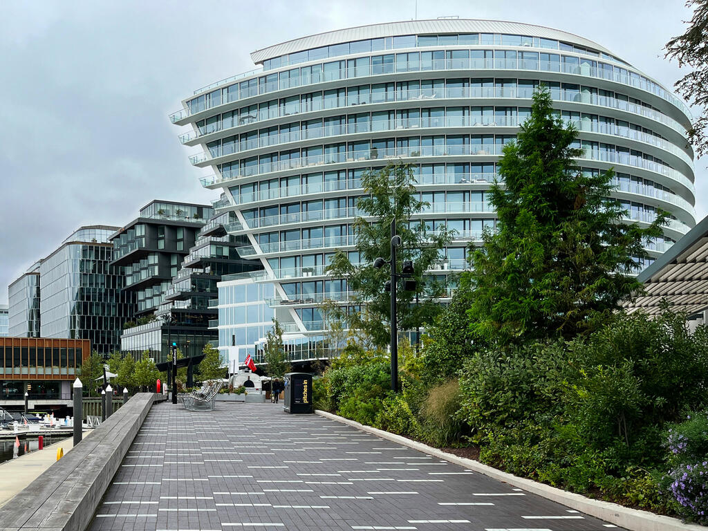 vegetated roof, green roof, amenity deck