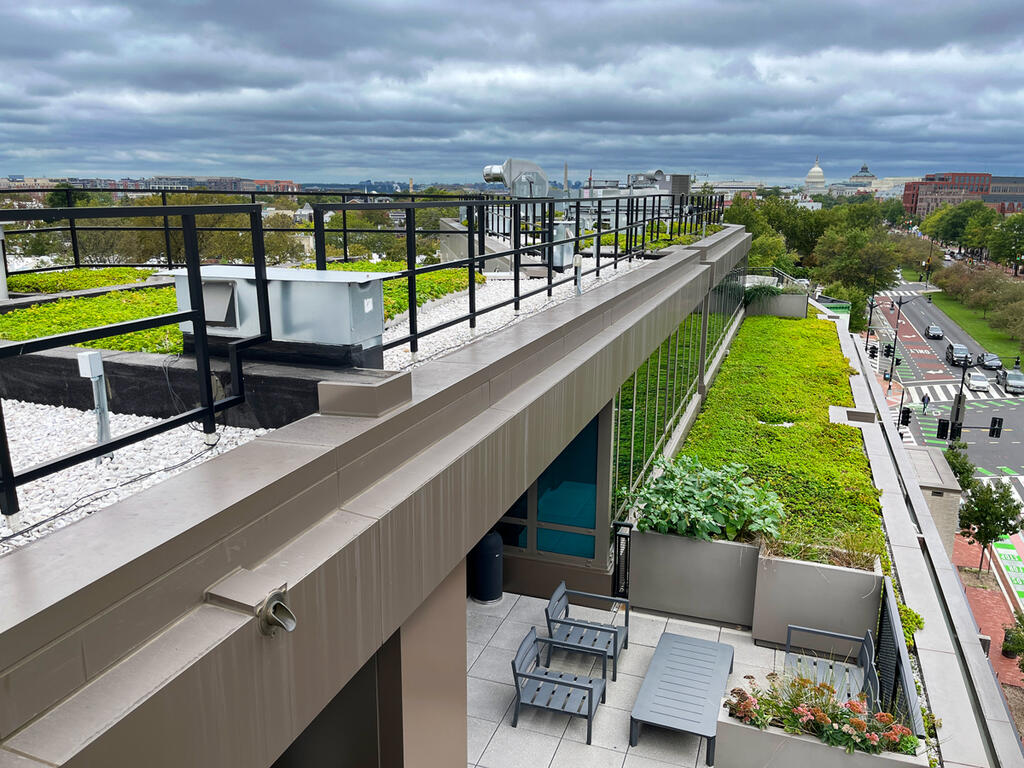 vegetated roof, green roof, amenity deck