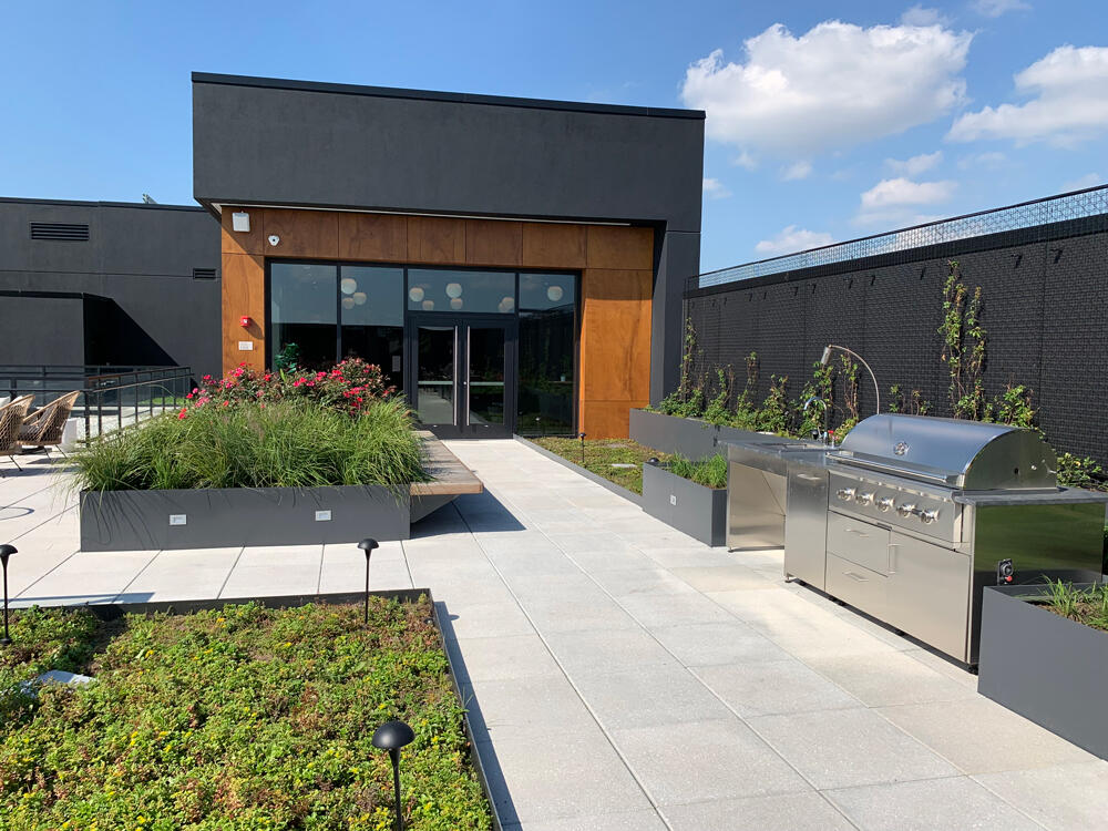 vegetated roof, green roof, amenity deck