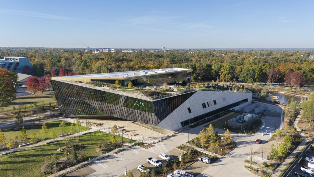 Alice Walton School of Medicine